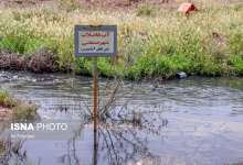ساوه | صنعت | کشاورزی