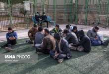 شیوع کرونا | گل