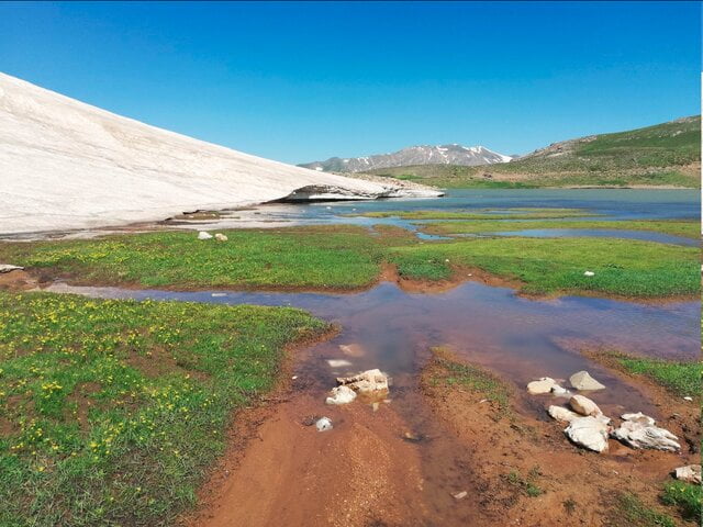 گردشگری