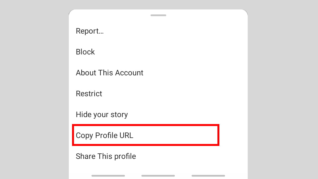  استفاده از آدرس URL پروفایل برای دانلود عکس پروفایل 2