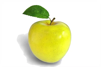 بیماری بیماری