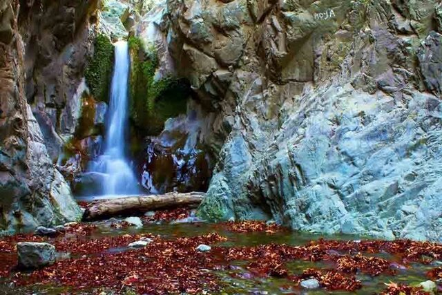 گردشگری | مهاجرت