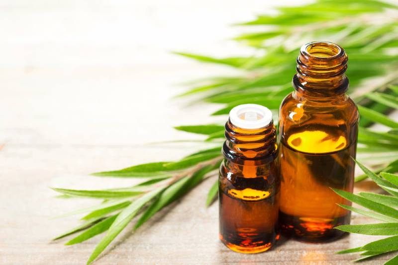 Tea tree oil and its 10 wonderful properties