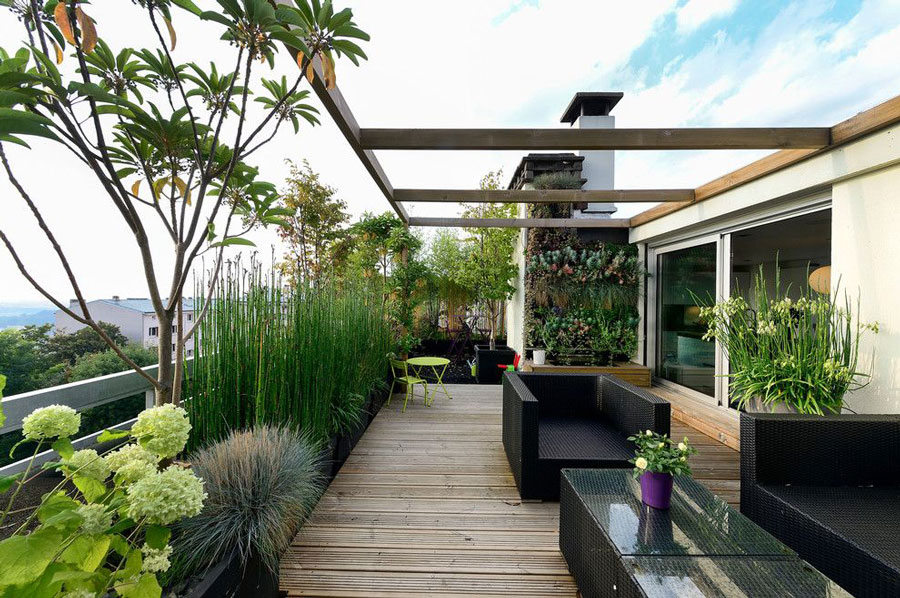 What is the effect of roof garden canopy on the environment?