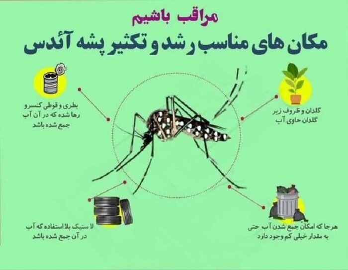 بیماری | تب دنگی