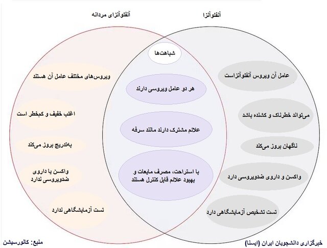 آنفلوآنزا | سرگرمی | مردانه