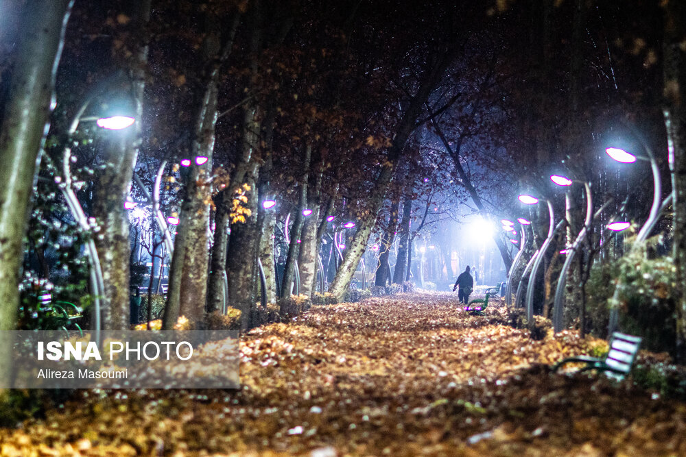 تهران | سرگرمی