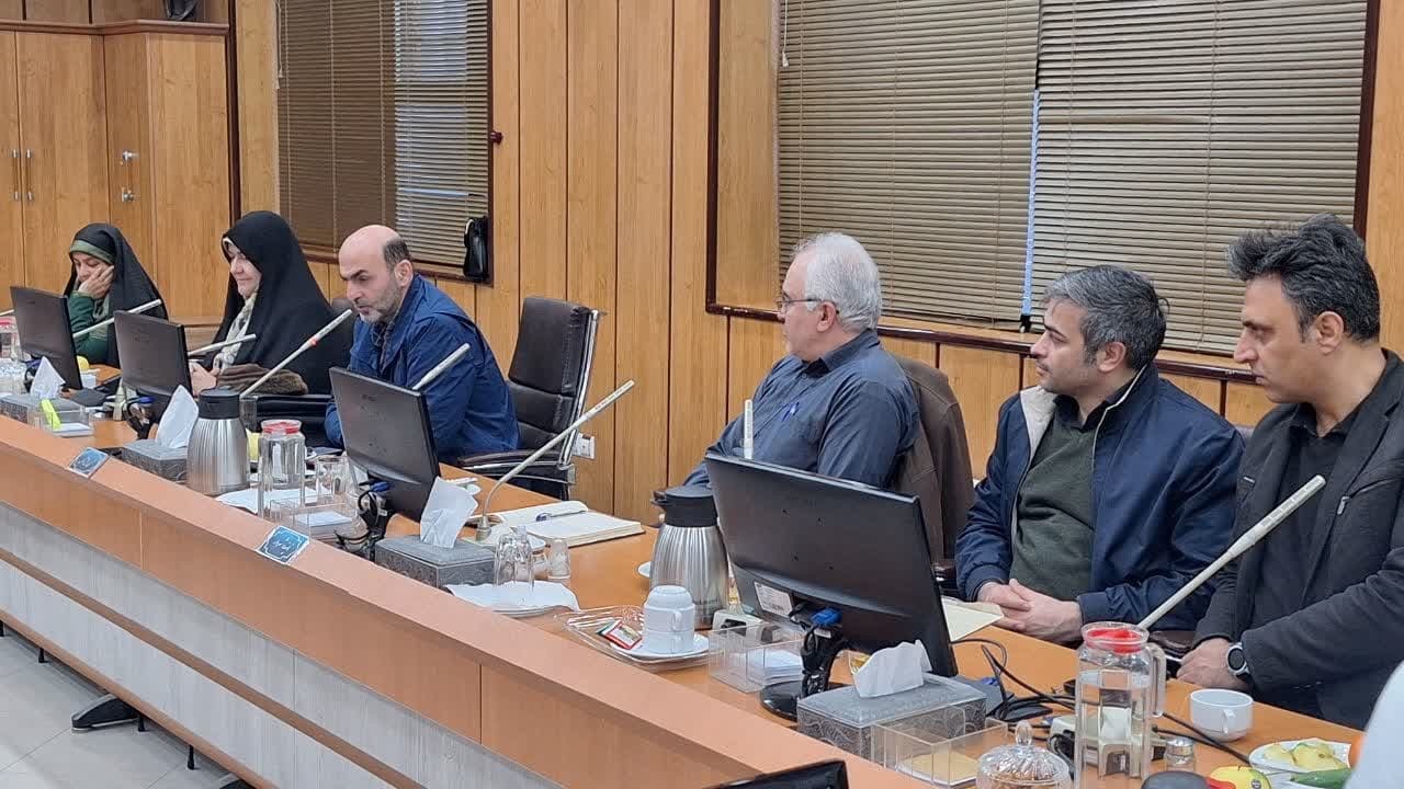 81 درصد فضاهای تجاری سعدالسلطنه انحصاری واگذار شده و بدون درآمد است