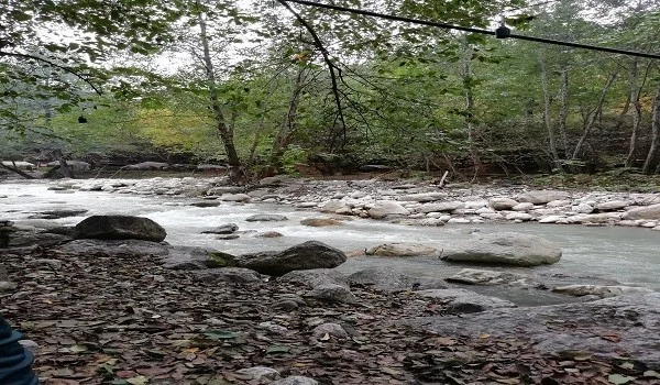 گردشگری تفریحات انزلی